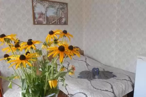 Частный сектор «Марина» Частный сектор «Марина»