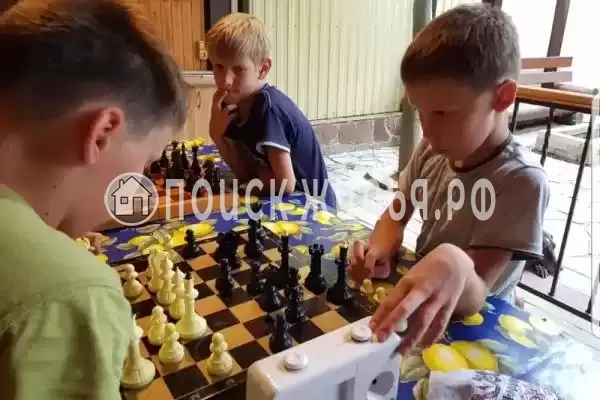 «Весёлый рапан»