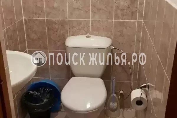 «Весёлый рапан»