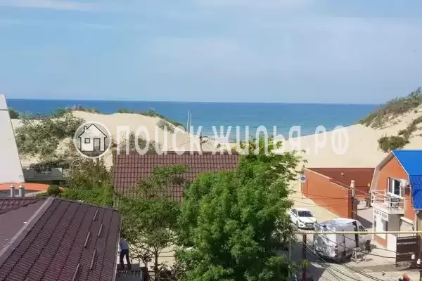 «Весёлый рапан»