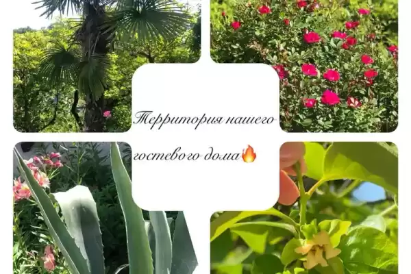 Гостевой дом «Лето» Гостевой дом «Лето»