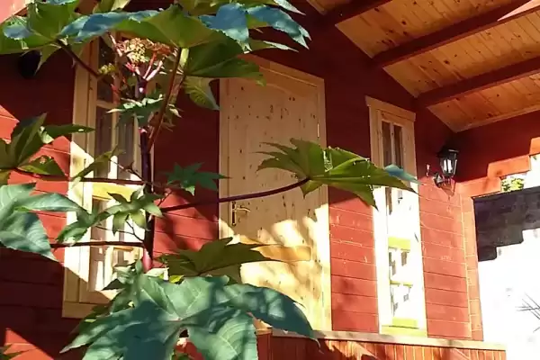 База отдыха «Эвкалипт» База отдыха «Эвкалипт»