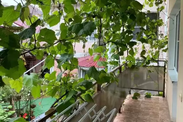 Гостевой дом «Ди Анна» Гостевой дом «Ди Анна»