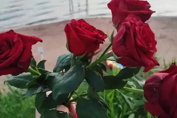 Частный сектор «Домик на Азове» Частный сектор «Домик на Азове»