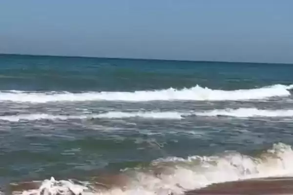 Частный сектор «Домик на Азове» Частный сектор «Домик на Азове»