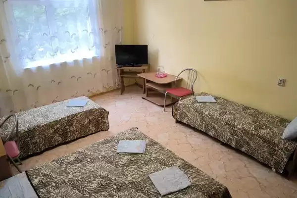 Частный сектор «Бамбук» Частный сектор «Бамбук»