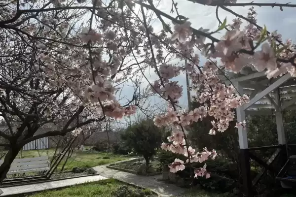 Гостевой дом «Villa Sorrento» Гостевой дом «Villa Sorrento»
