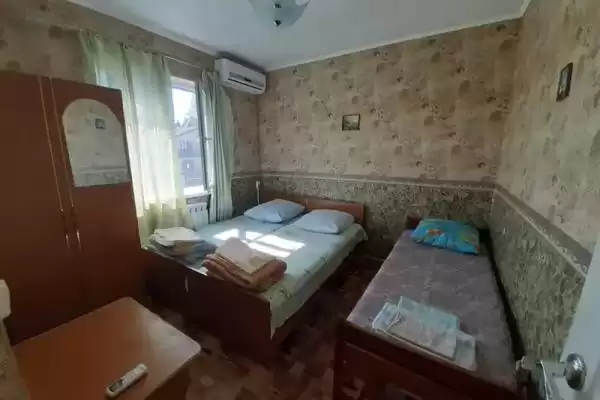 Гостевой дом «Два дельфина» Гостевой дом «Два дельфина»
