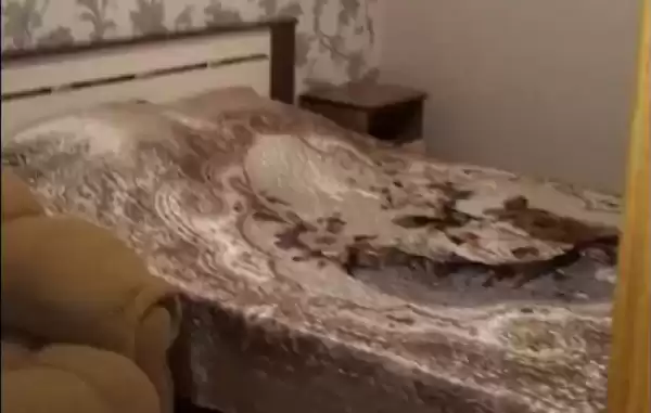 Частный сектор, ул.Коллективная, д.247 Частный сектор, ул.Коллективная, д.247
