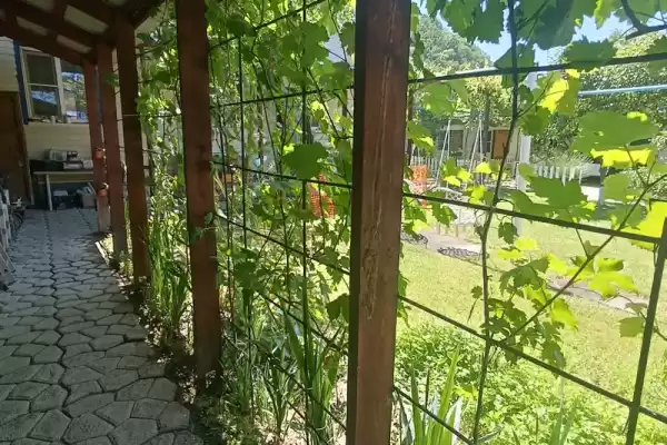 Частный сектор «У Любови» Частный сектор «У Любови»