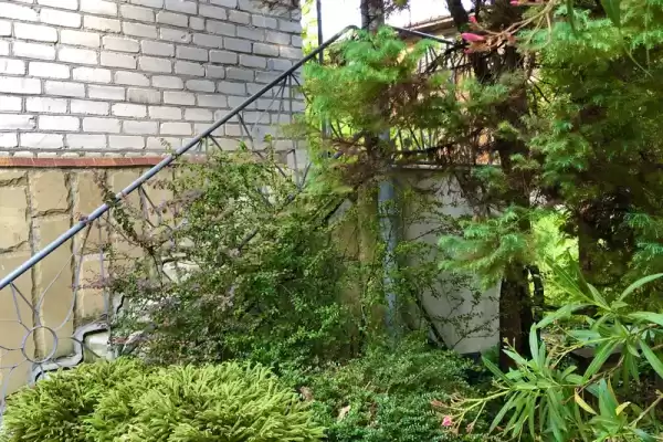 Дом под ключ «Shtern Palace» Дом под ключ «Shtern Palace»