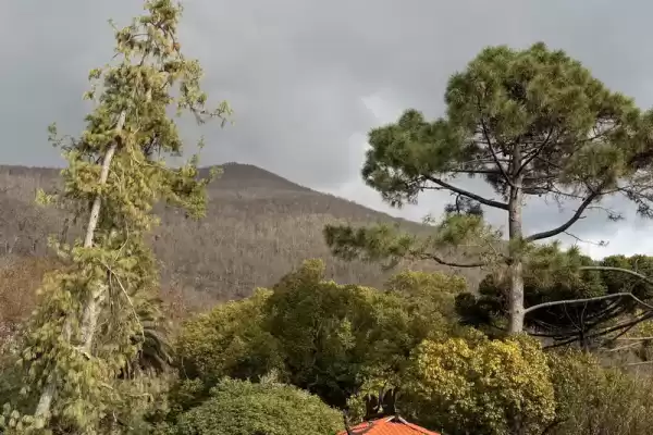 Частный сектор «Домики Eco-house Sun Breeze» Частный сектор «Домики Eco-house Sun Breeze»