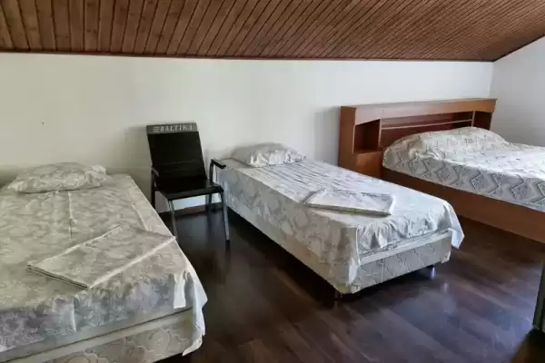 Гостевой дом «Цитрус» Гостевой дом «Цитрус»