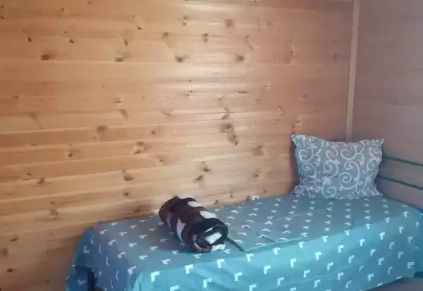 Дом под ключ «Коттедж Brus» Дом под ключ «Коттедж Brus»