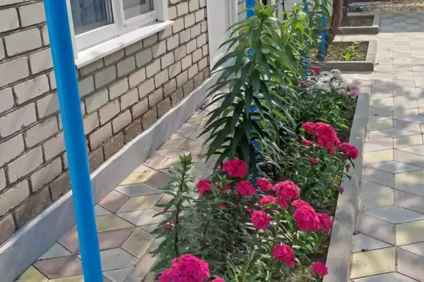 Частный сектор «Домик на Суворовском» Частный сектор «Домик на Суворовском»