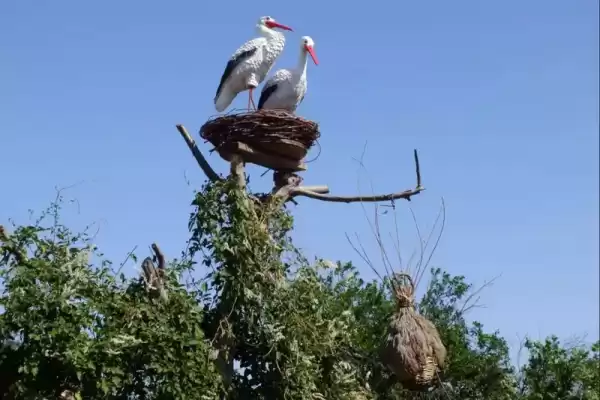 Дом под ключ «Казачье подворье» Дом под ключ «Казачье подворье»