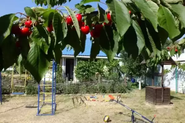 Дом под ключ «Казачье подворье» Дом под ключ «Казачье подворье»