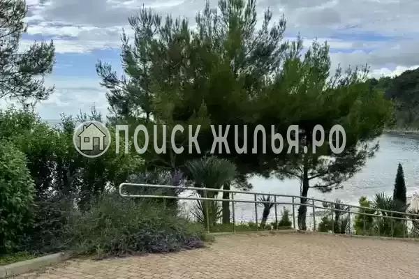 Квартира, КП «Сосновый берег», д.16/4 Квартира, КП «Сосновый берег», д.16/4