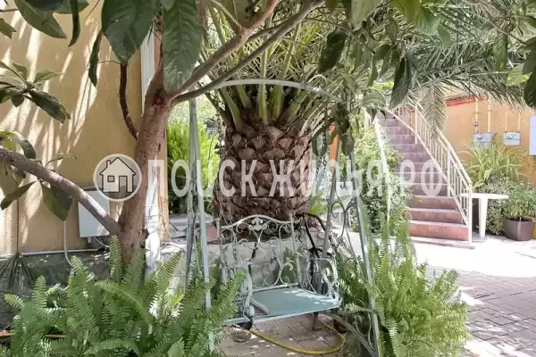 Квартира, Просвещения, д.154 Квартира, Просвещения, д.154