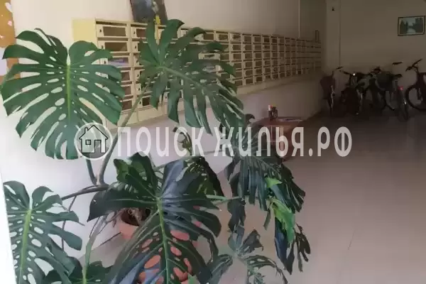 Квартира, Камо, д.70