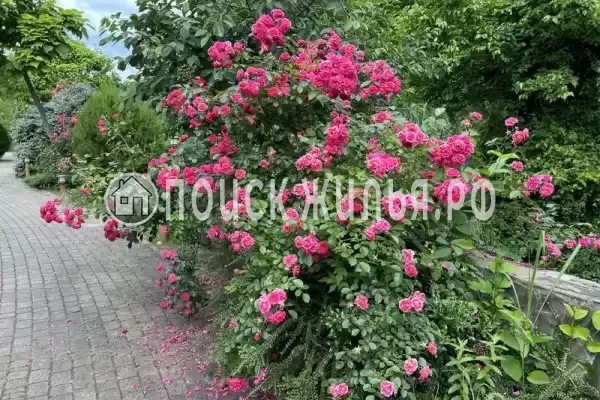 Апартаменты «В КП Резиденция солнца»