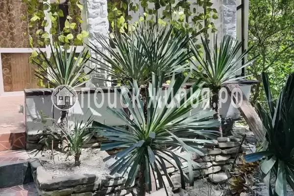 Квартира, Островского, д.122А Квартира, Островского, д.122А