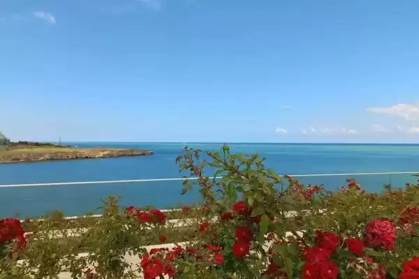 Дом/квартира под ключ «Домик у моря» Дом/квартира под ключ «Домик у моря»