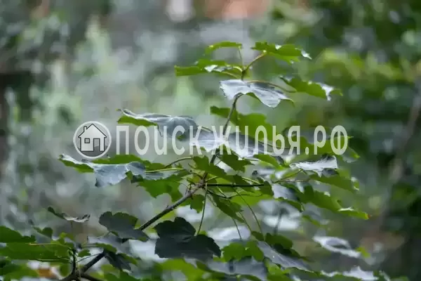 Квартира «У Чёрного моря (Сириус)»