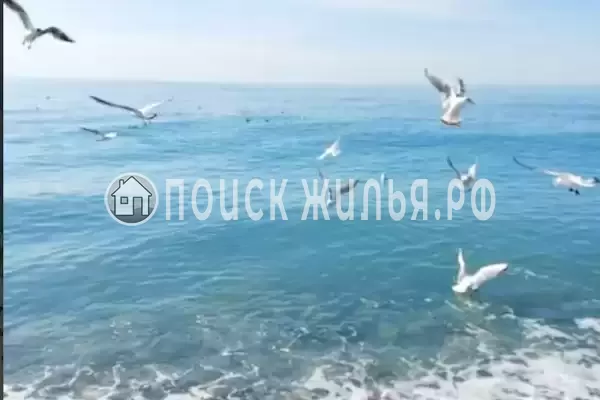 Квартира «У Чёрного моря (Сириус)»