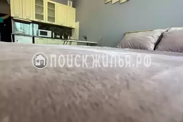 Квартира «-студия в ЖК Плаза» Квартира «-студия в ЖК Плаза»