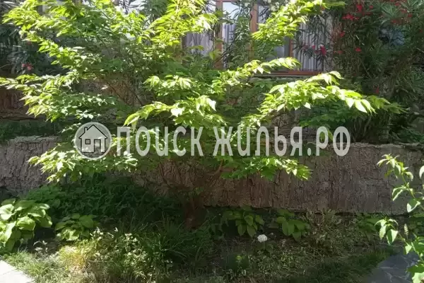 Апартаменты «На Красной»