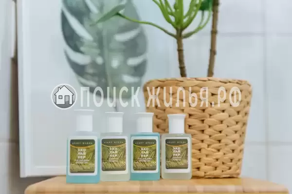 Отель «Эколайнер»