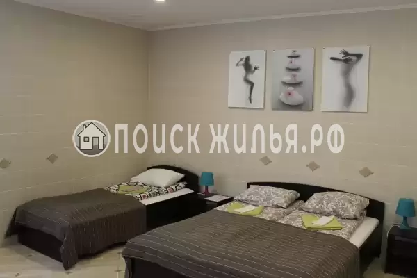 «Пилот Домодедово»