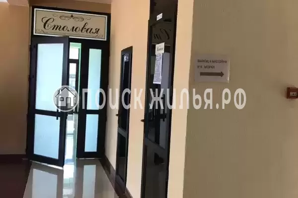 «K.V.N.» «K.V.N.»