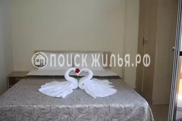 «K.V.N.» «K.V.N.»