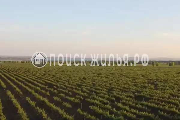 «Коттедж на Берегу Азовского Моря»