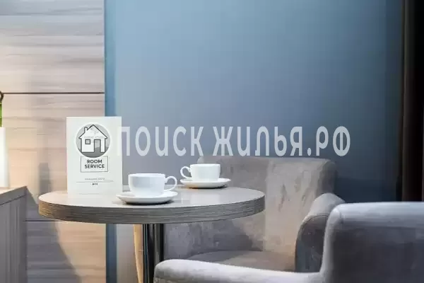 «Пересвет»