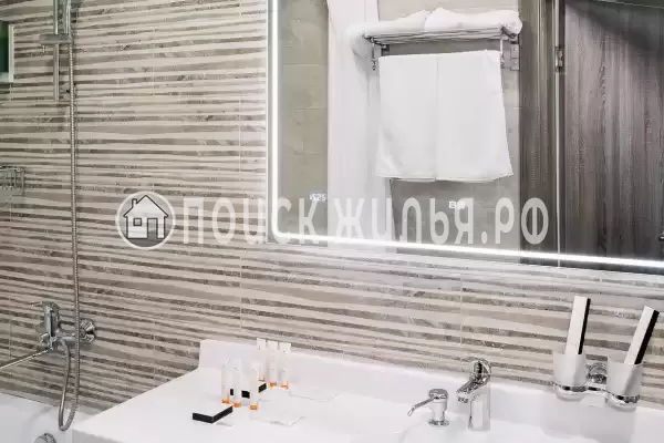 «Пересвет»