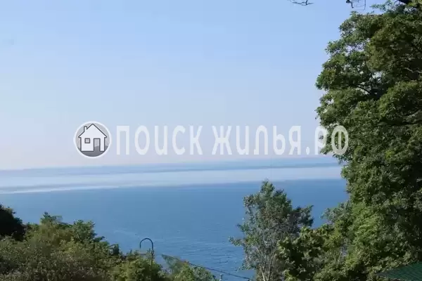 Частный сектор «Коттедж Зеленый банан» Частный сектор «Коттедж Зеленый банан»