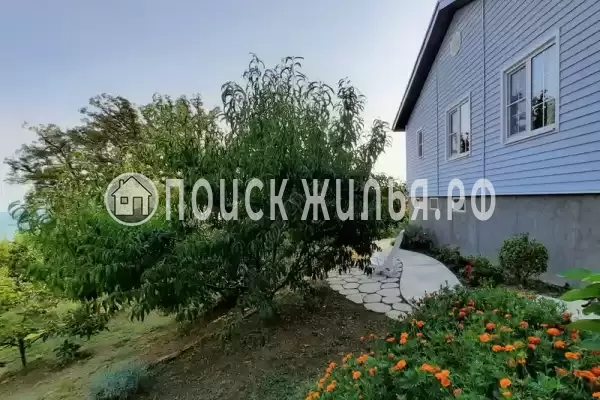 Частный сектор «Коттедж Зеленый банан» Частный сектор «Коттедж Зеленый банан»