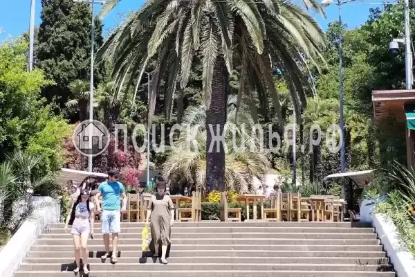 Частный сектор «Ухоженная двушечка в центре курортной зоны г. Сочи» Частный сектор «Ухоженная двушечка в центре курортной зоны г. Сочи»