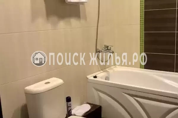 «Аврора Щекино»