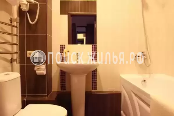 «Аврора Щекино»