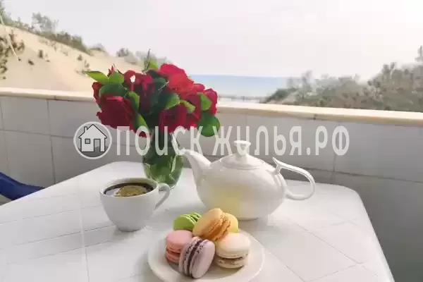 «Галатея» «Галатея»