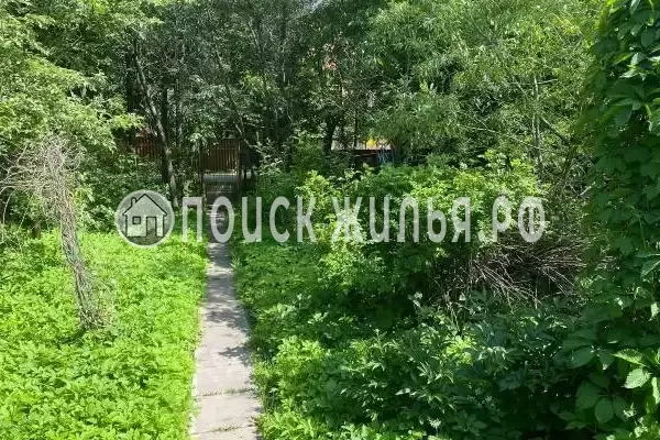 «Яблоневый сад Барыбино»