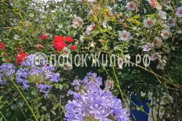 Частный сектор «Дом в национальном парке»