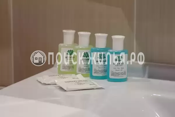 Отель «Ясенки»