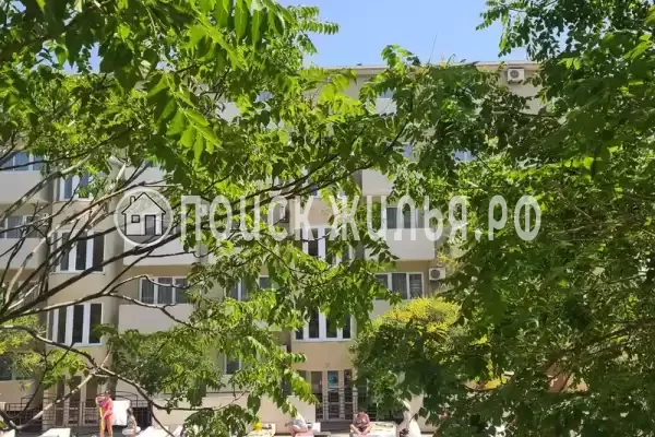 «На Пионерском» «На Пионерском»