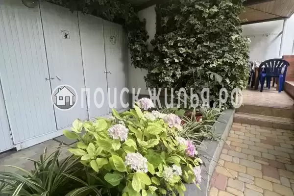 «На Вильямса» «На Вильямса»