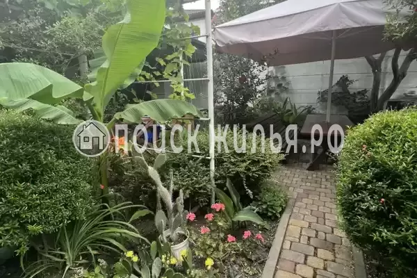 «На Вильямса» «На Вильямса»